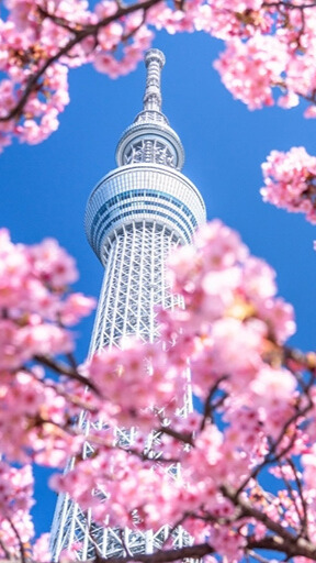 Blog Images
